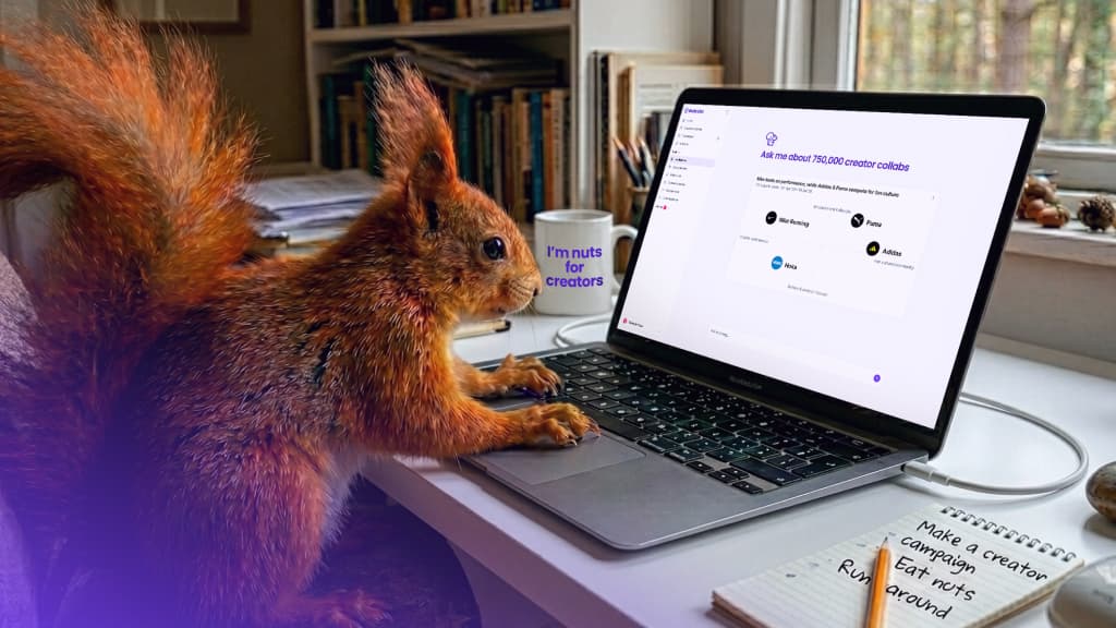 A squirrel using the Nutcake creator marketing platform on a laptop, showing brand collaboration data