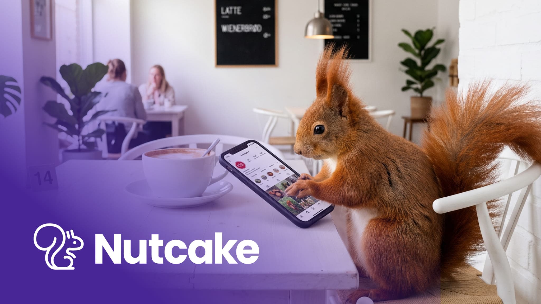 A red squirrel in a coffee shop scrolling an Instagram profile on a phone next to a latte